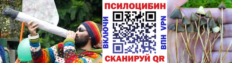Галлюциногенные грибы ЛСД  Александровск 